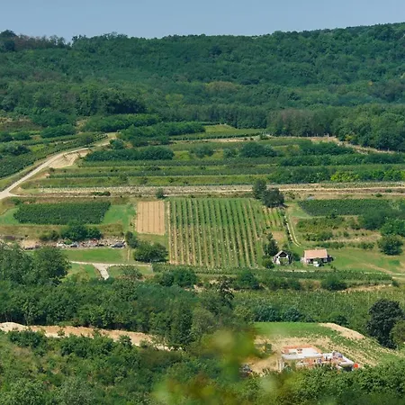 Hotel Bodri Pincészet