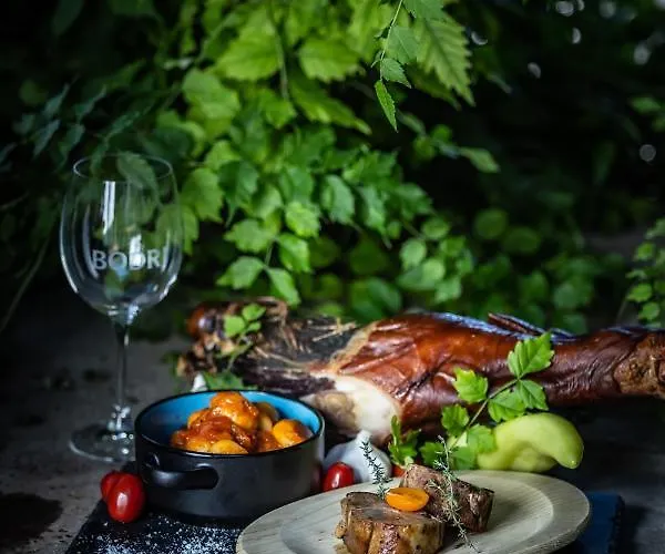 Bodri Pinceszet Ξενοδοχείο