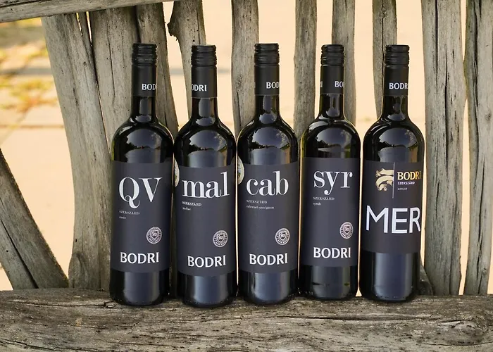 Bodri Pinceszet * Szekszárd