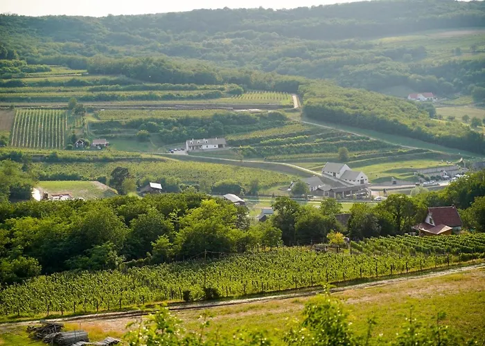 Ξενοδοχείο Bodri Pinceszet Szekszárd