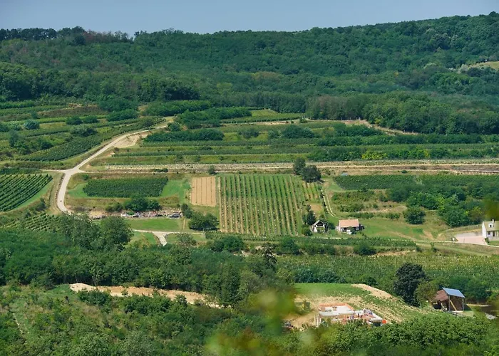 Hotel Bodri Pinceszet