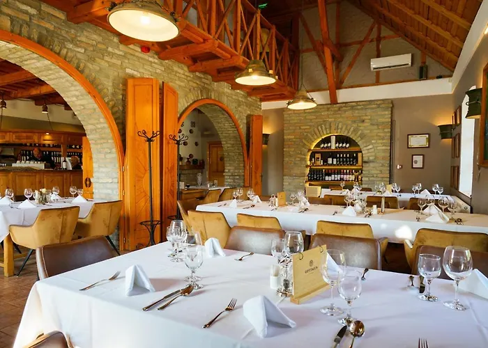 Ξενοδοχείο Bodri Pinceszet *